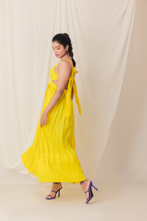 Daffodil Dreams hover