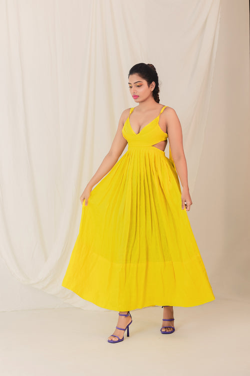Daffodil Dreams